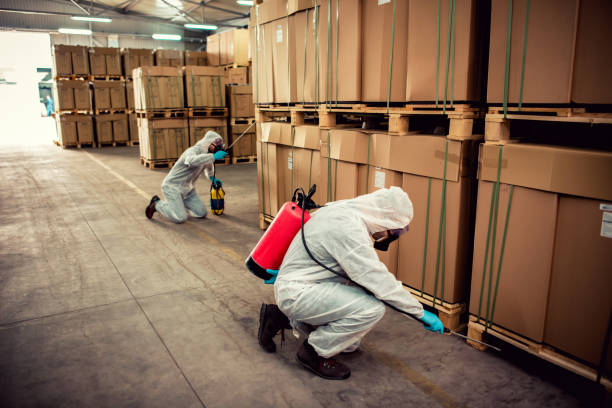 Trusted Colonial Heights, VA Pest Control Experts
