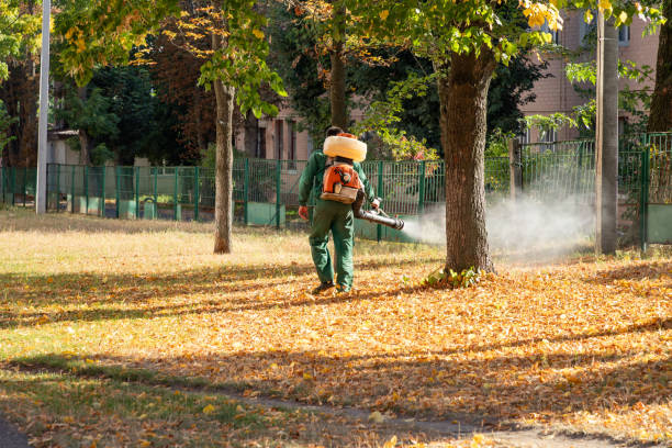  Colonial Heights, VA Pest Control Pros