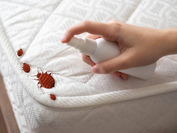 Best Pest Removal Services  in Colonial Heights, VA