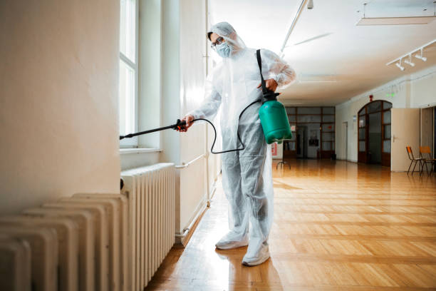 Best Affordable Pest Control Services  in Colonial Heights, VA
